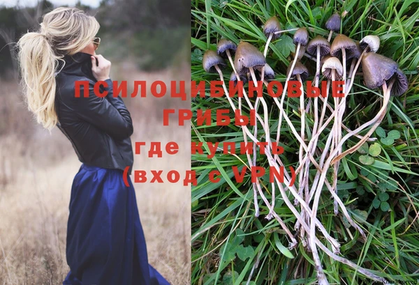трава Абаза