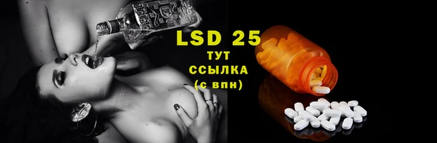 стафф Абинск