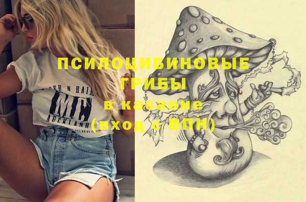 трава Абаза
