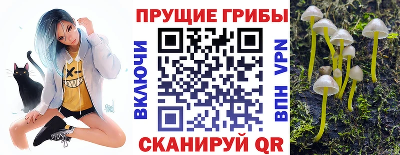 Псилоцибиновые грибы ЛСД MEGA как зайти Инсар цены